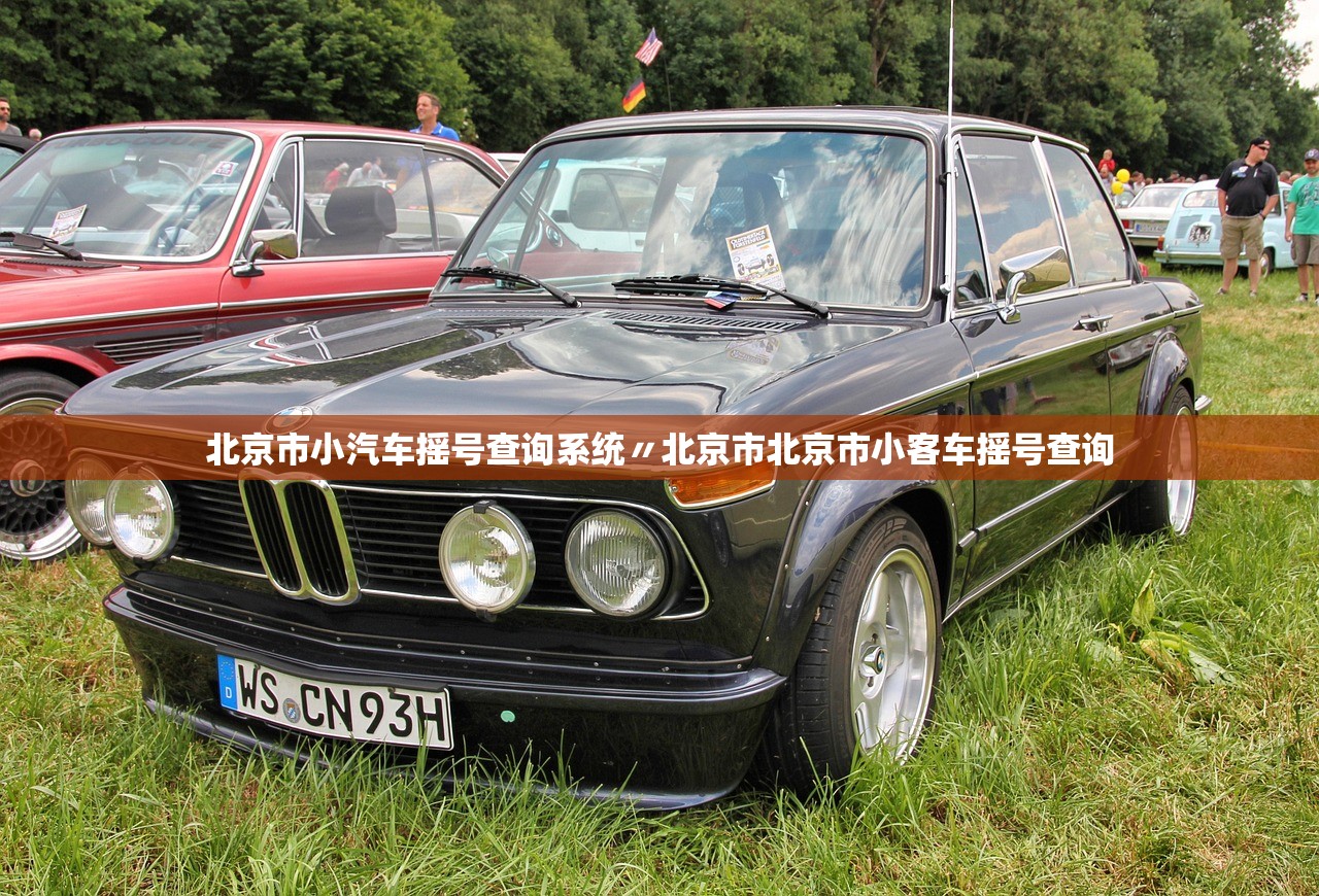 北京市小汽车摇号查询系统〃北京市北京市小客车摇号查询