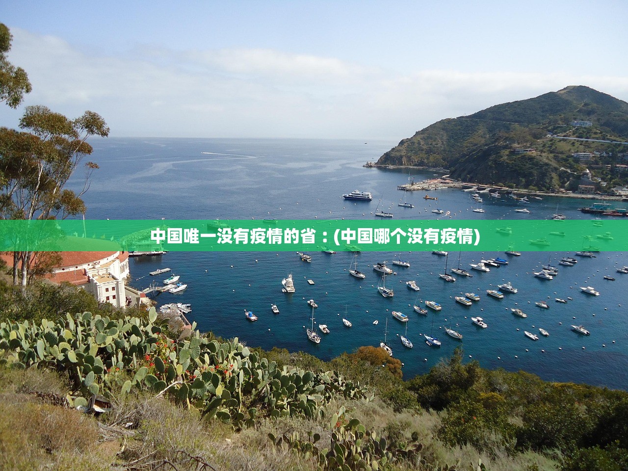 中国唯一没有疫情的省︰(中国哪个没有疫情)