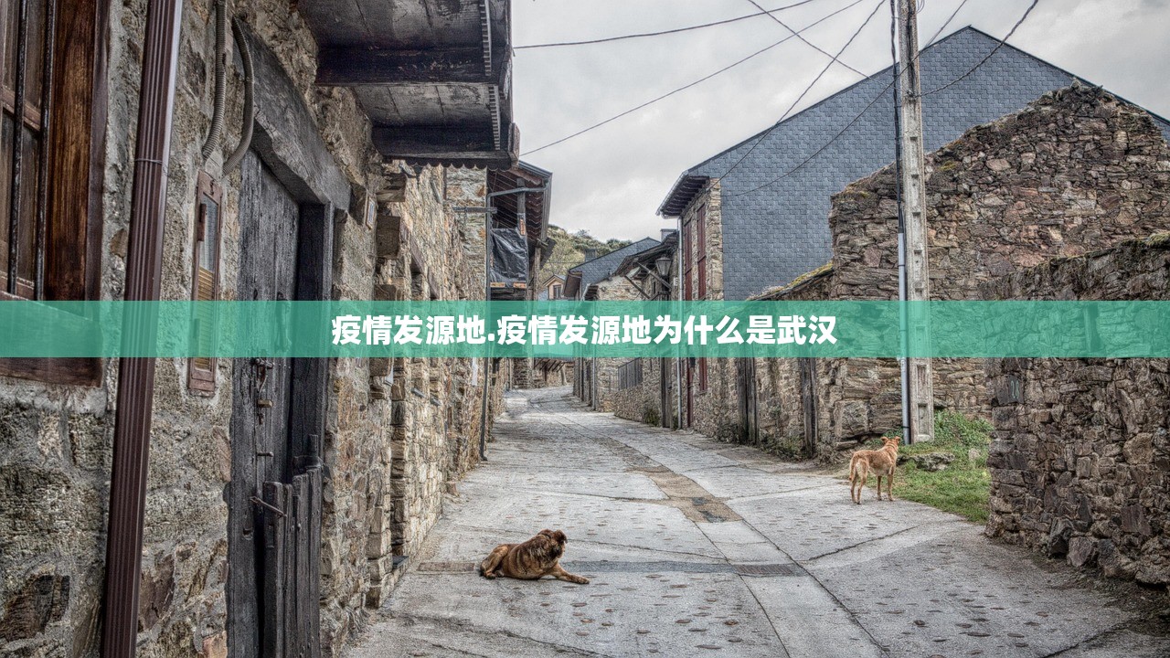 疫情发源地.疫情发源地为什么是武汉