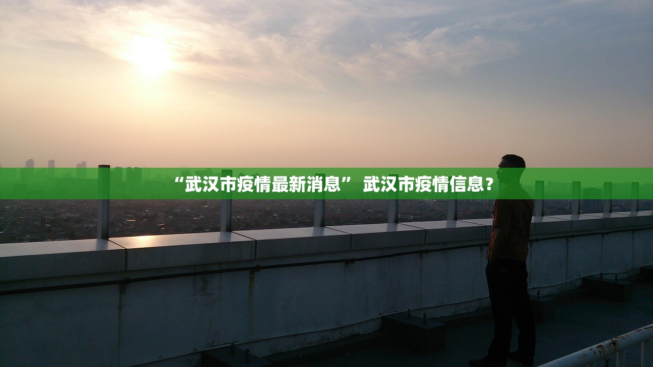 “武汉市疫情最新消息” 武汉市疫情信息？