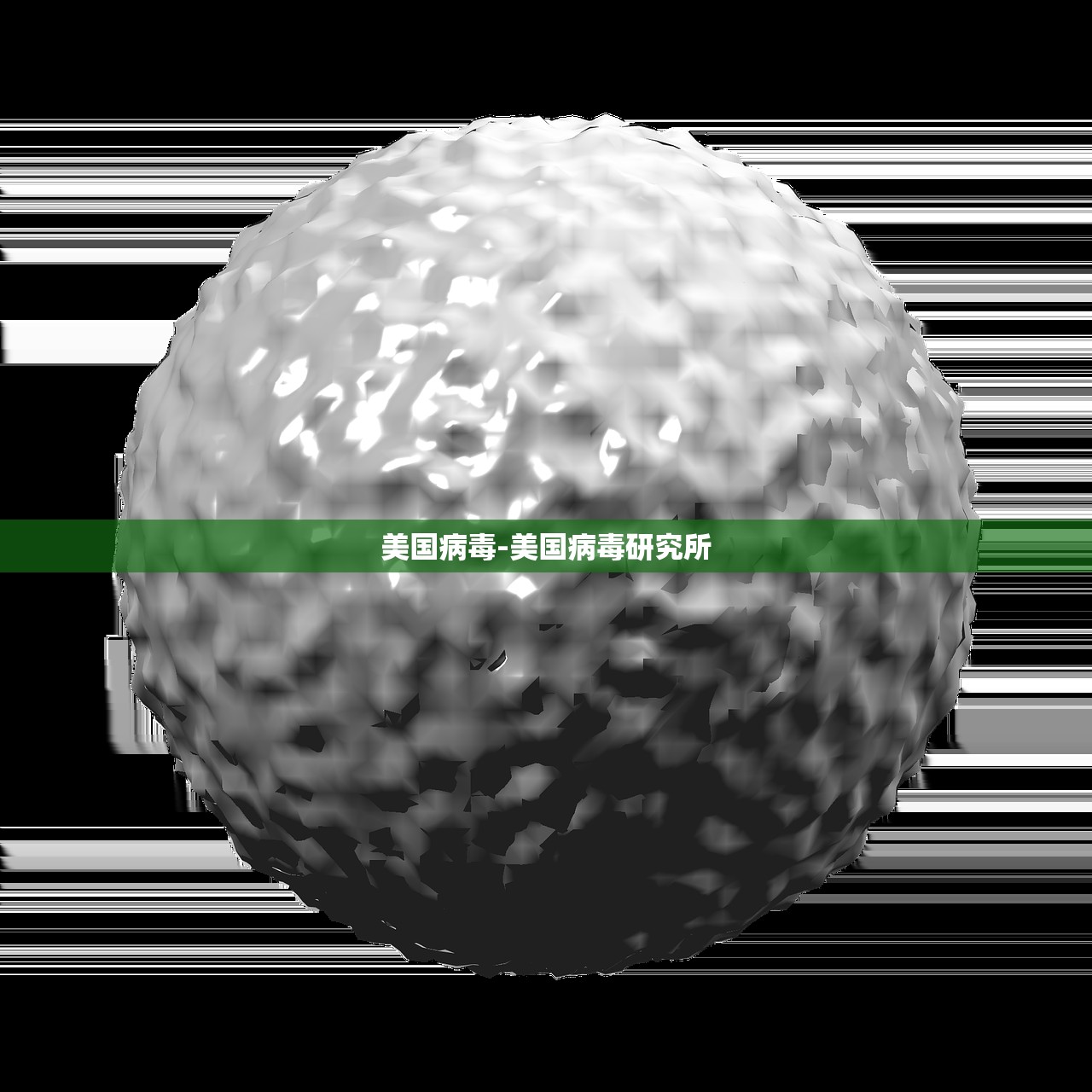 美国病毒-美国病毒研究所