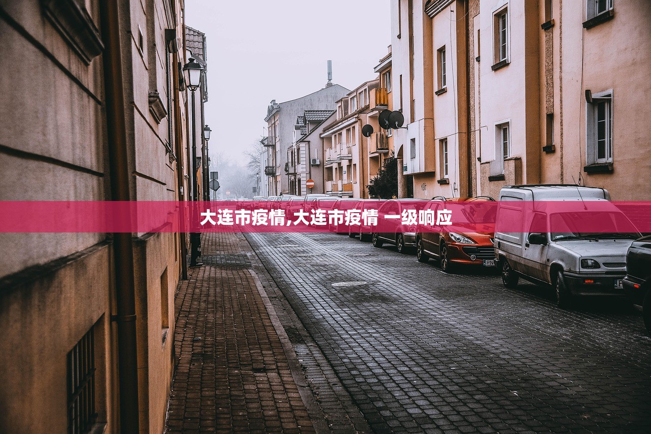 大连市疫情,大连市疫情 一级响应