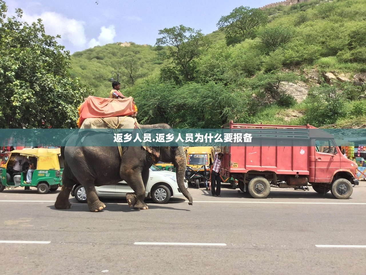 返乡人员.返乡人员为什么要报备