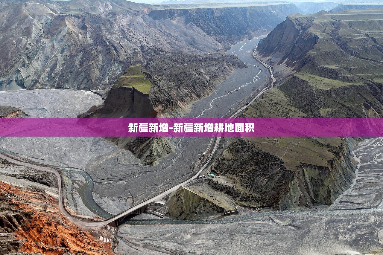 新疆新增-新疆新增耕地面积