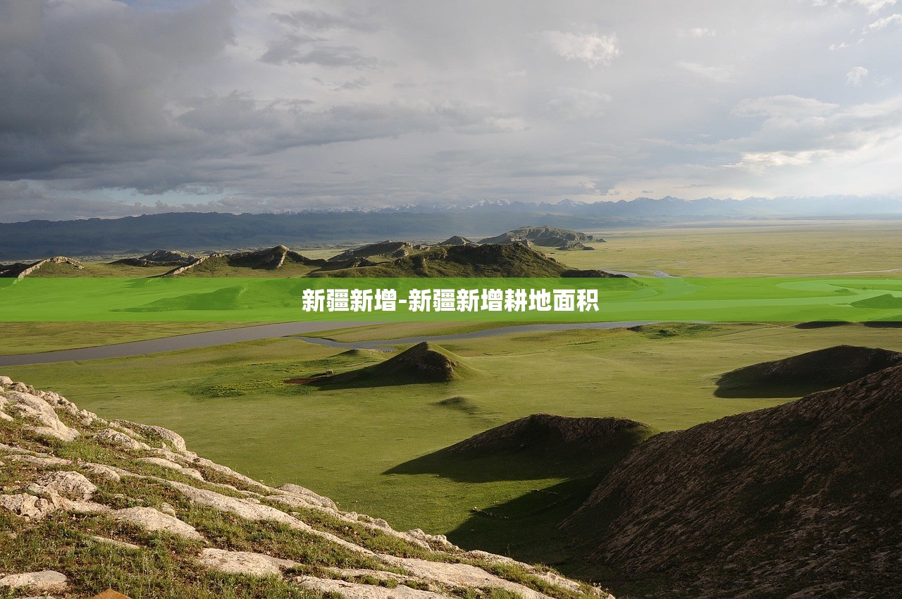 新疆新增-新疆新增耕地面积