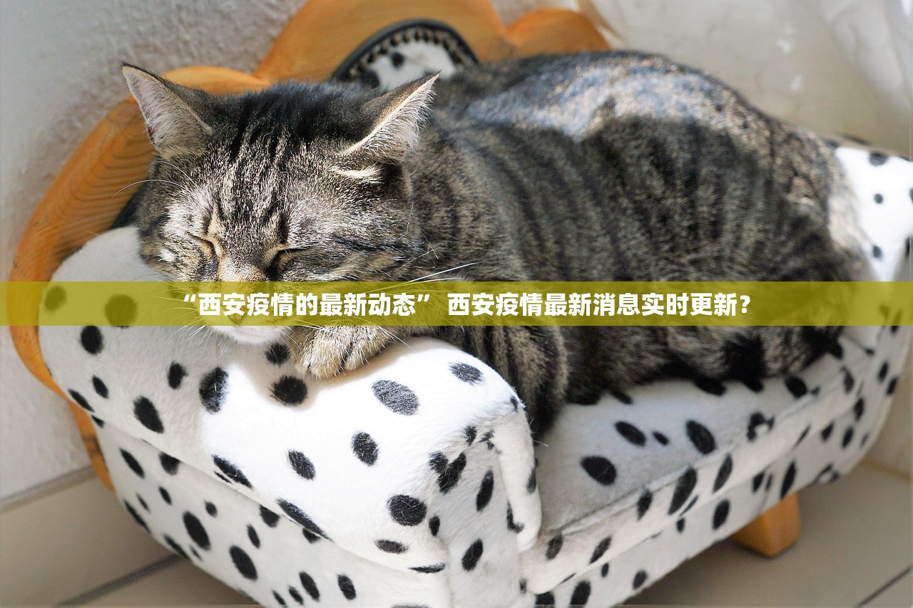 “西安疫情的最新动态	” 西安疫情最新消息实时更新？