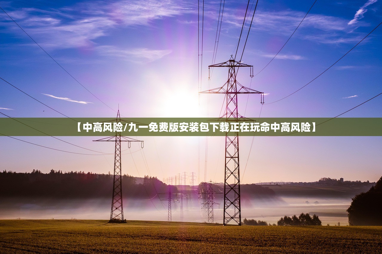 【中高风险/九一免费版安装包下载正在玩命中高风险】