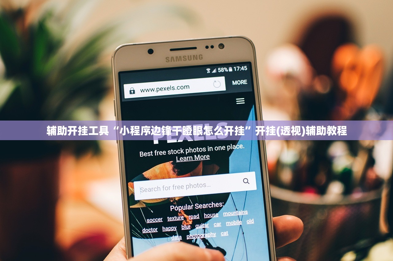 辅助开挂工具“小程序边锋干瞪眼怎么开挂”开挂(透视)辅助教程
