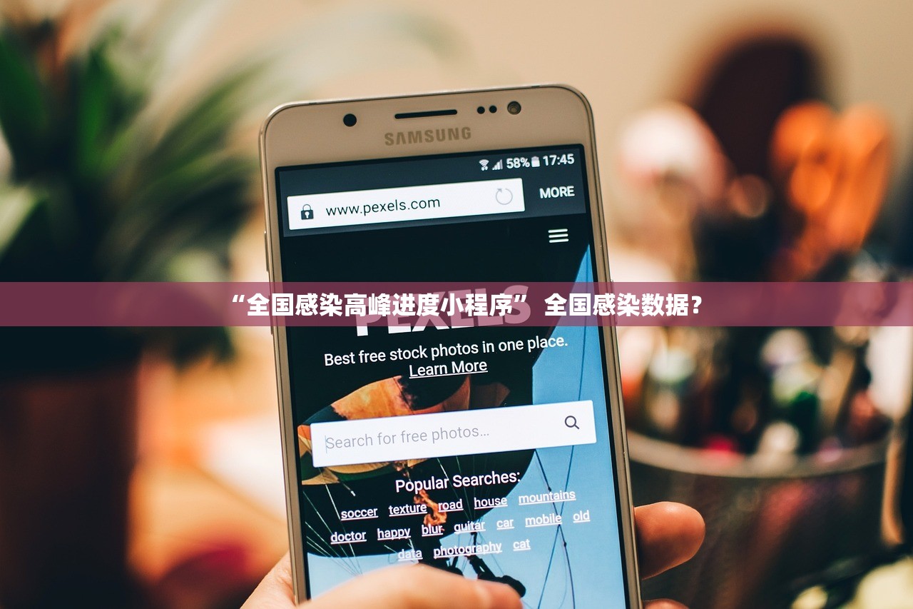 “全国感染高峰进度小程序” 全国感染数据？