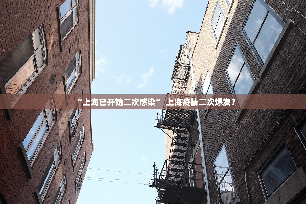 “上海已开始二次感染” 上海疫情二次爆发？