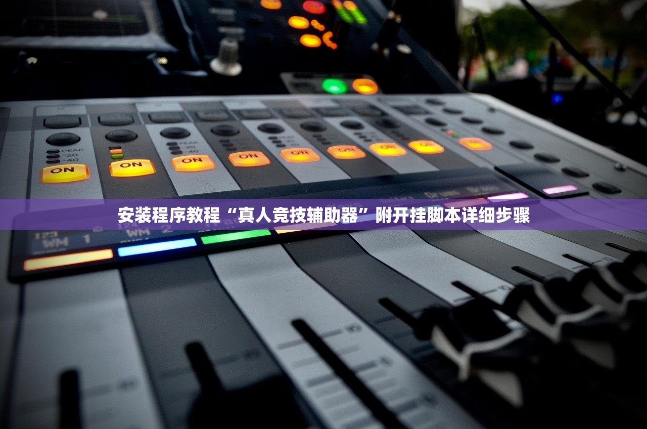 安装程序教程“真人竞技辅助器	”附开挂脚本详细步骤