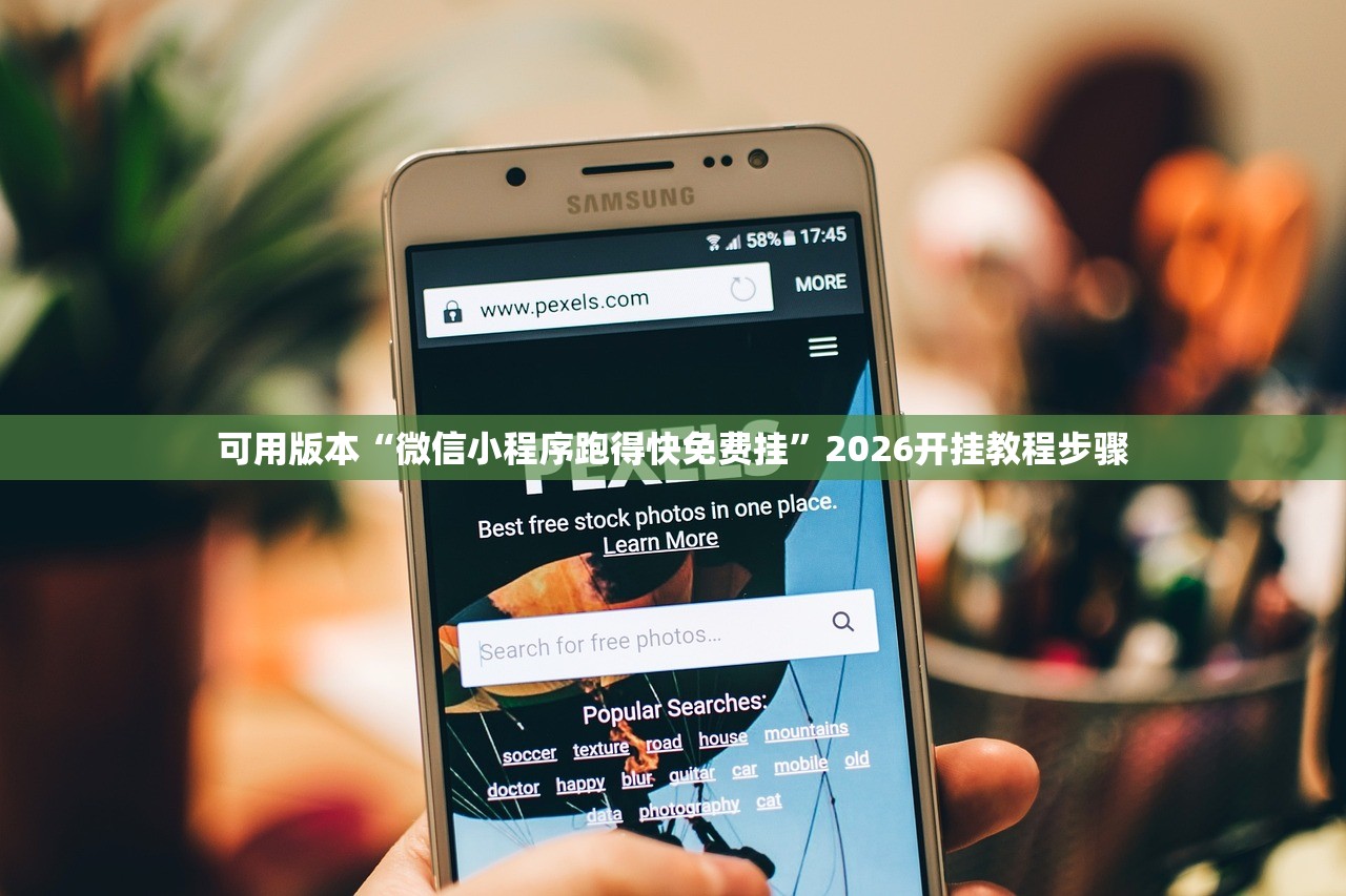 可用版本“微信小程序跑得快免费挂”2026开挂教程步骤