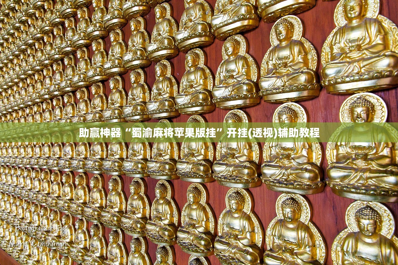助赢神器“蜀渝麻将苹果版挂	”开挂(透视)辅助教程