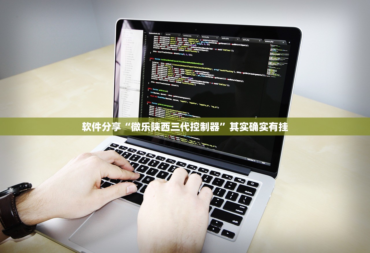 软件分享“微乐陕西三代控制器”其实确实有挂