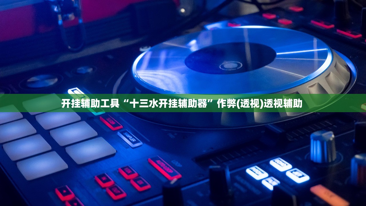 开挂辅助工具“十三水开挂辅助器”作弊(透视)透视辅助 