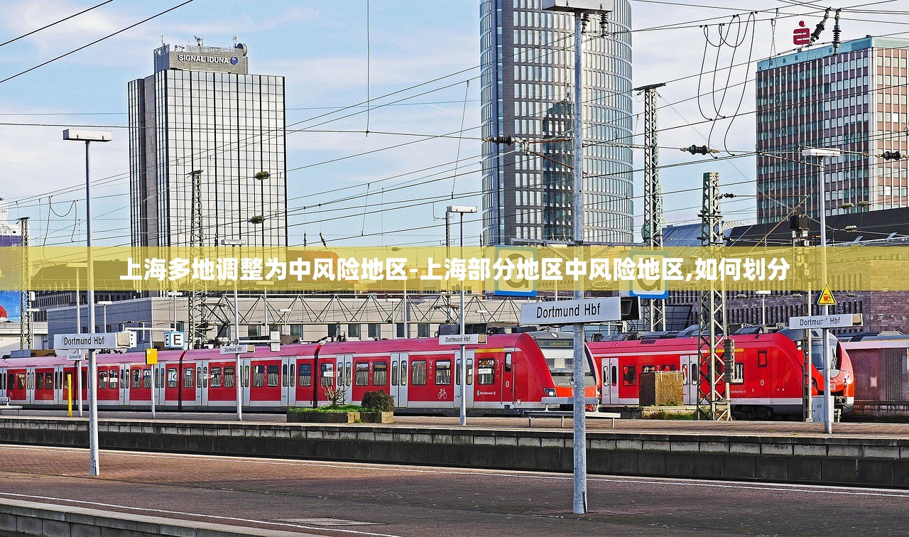 上海多地调整为中风险地区-上海部分地区中风险地区,如何划分