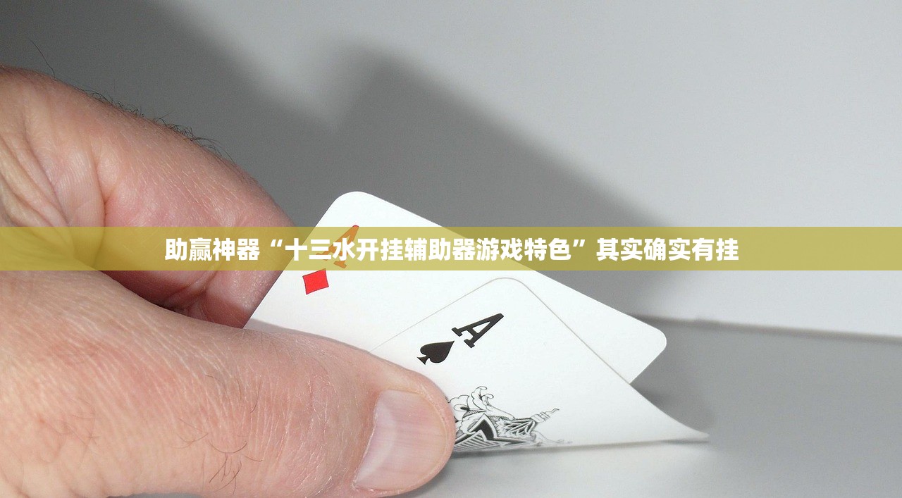 助赢神器“十三水开挂辅助器游戏特色”其实确实有挂