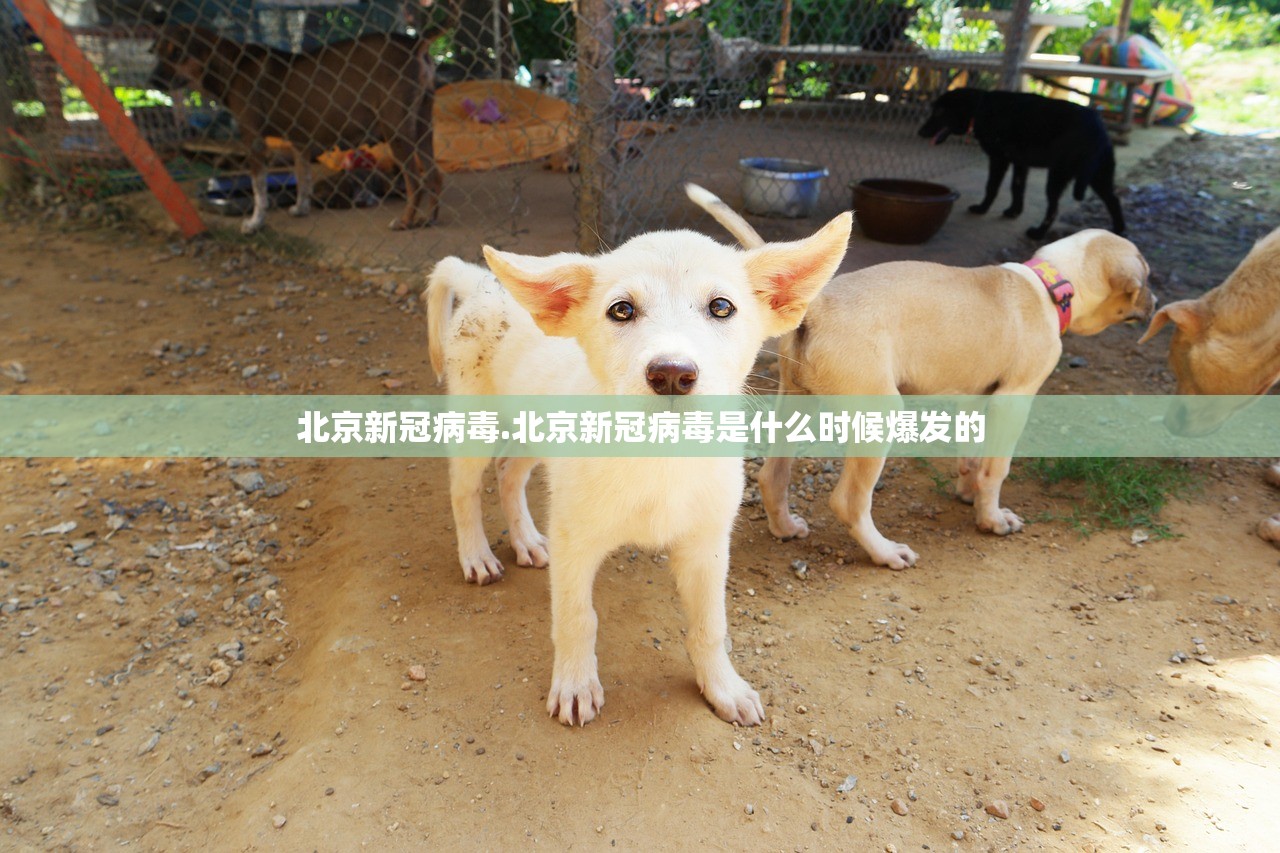 北京新冠病毒.北京新冠病毒是什么时候爆发的