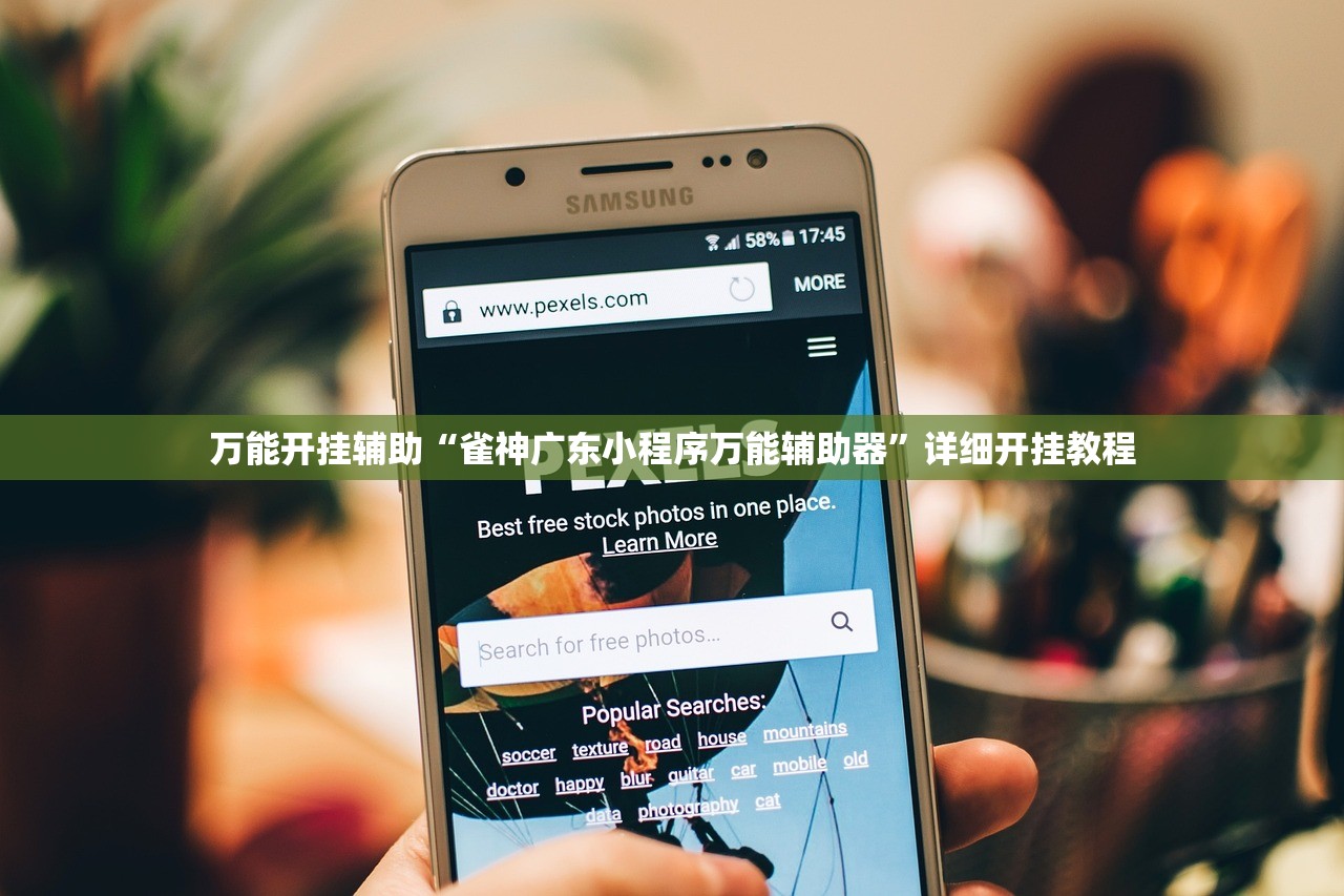 万能开挂辅助“雀神广东小程序万能辅助器”详细开挂教程