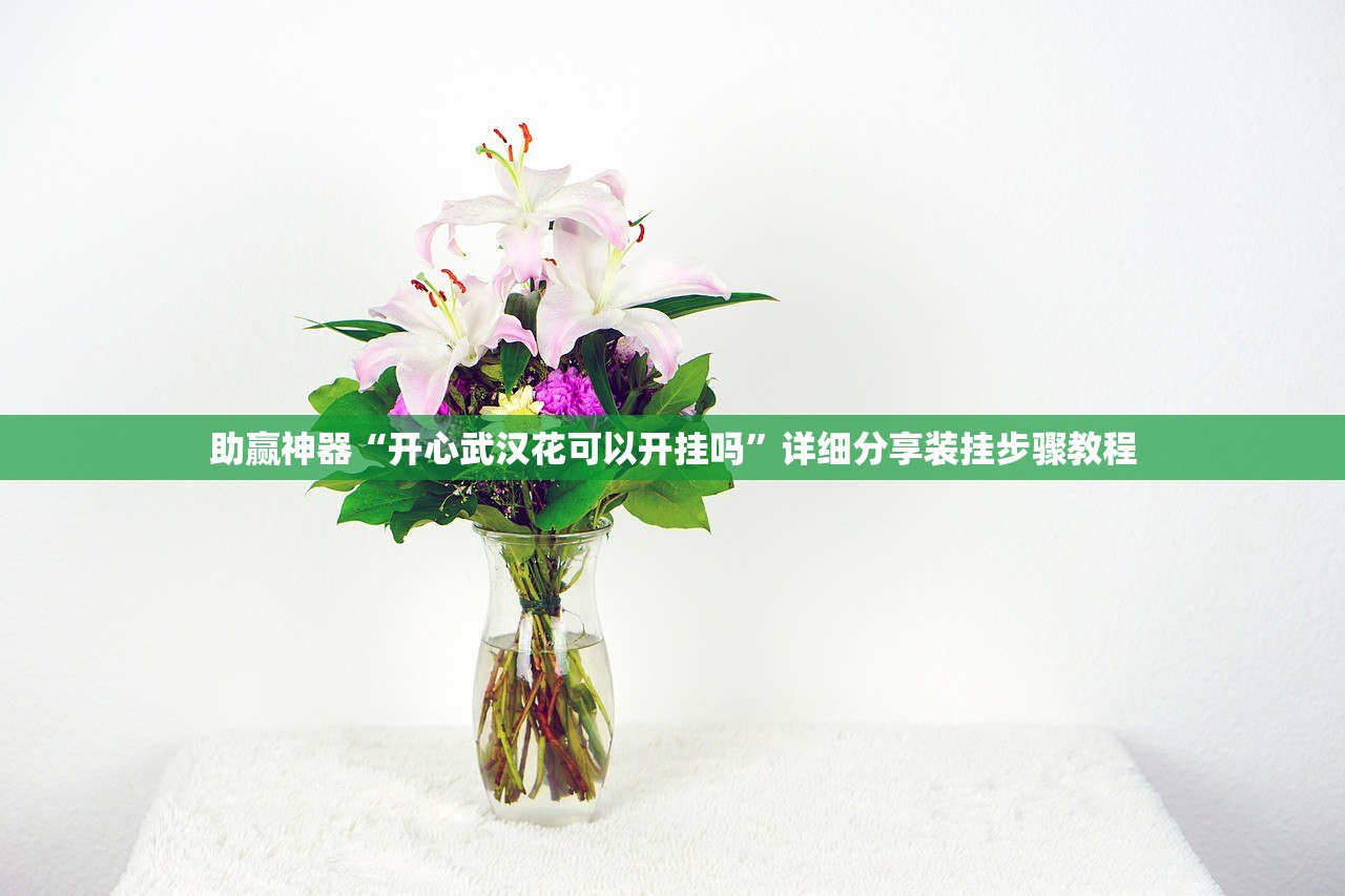 助赢神器“开心武汉花可以开挂吗”详细分享装挂步骤教程