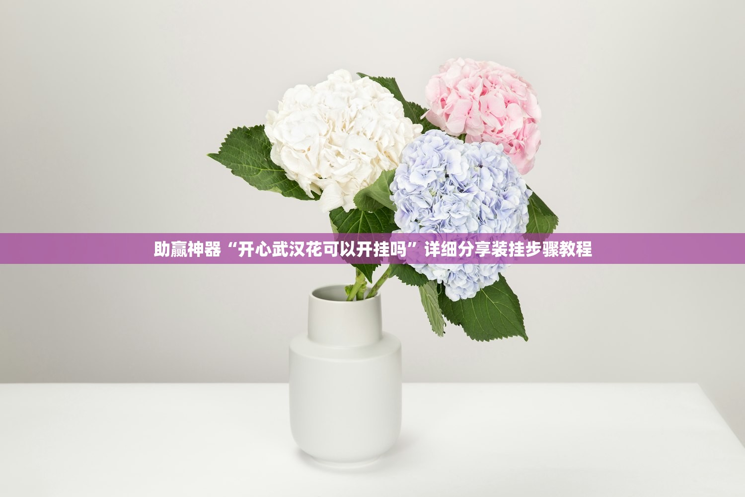 助赢神器“开心武汉花可以开挂吗	”详细分享装挂步骤教程