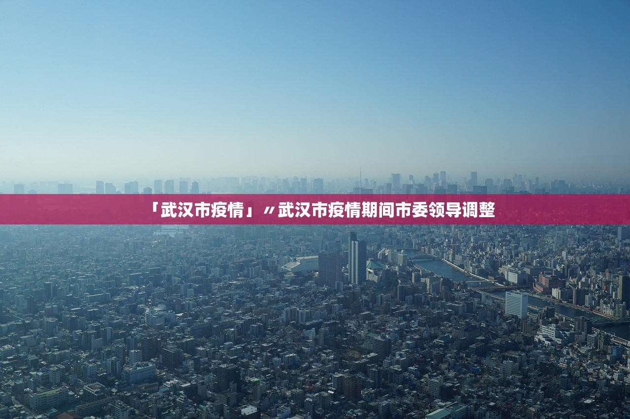 「武汉市疫情」〃武汉市疫情期间市委领导调整
