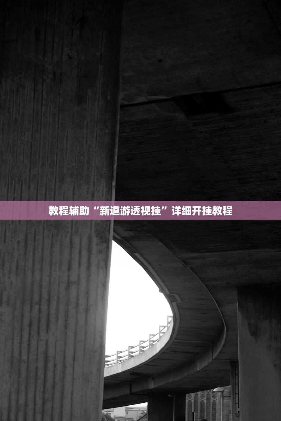 教程辅助“新道游透视挂	”详细开挂教程