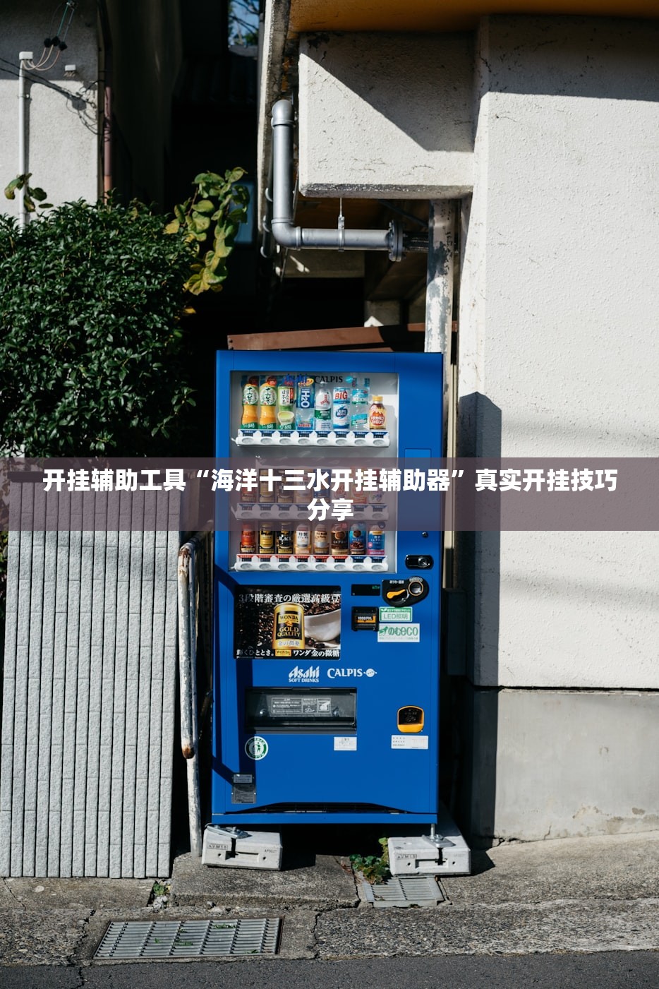 开挂辅助工具“海洋十三水开挂辅助器”真实开挂技巧分享