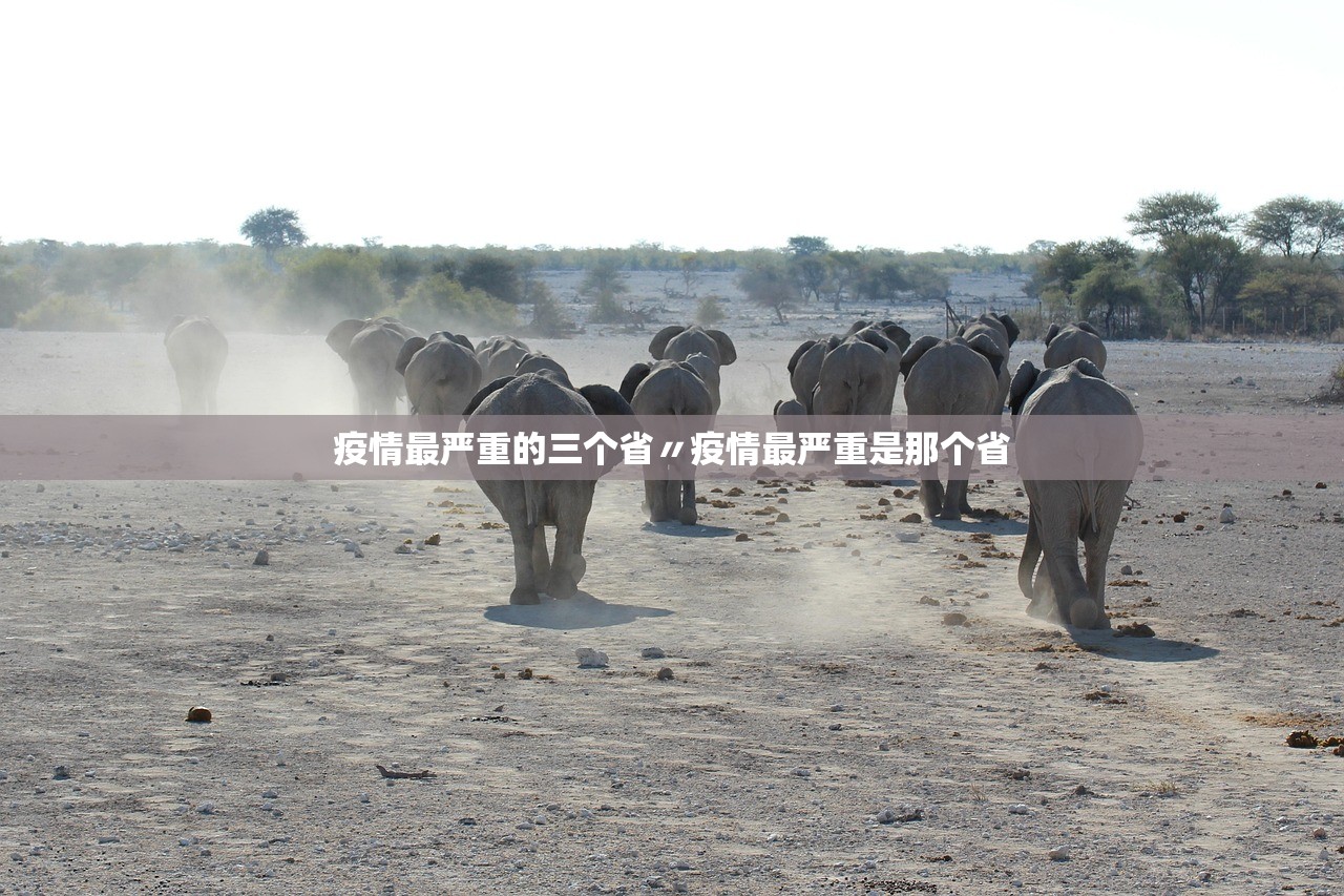 疫情最严重的三个省〃疫情最严重是那个省