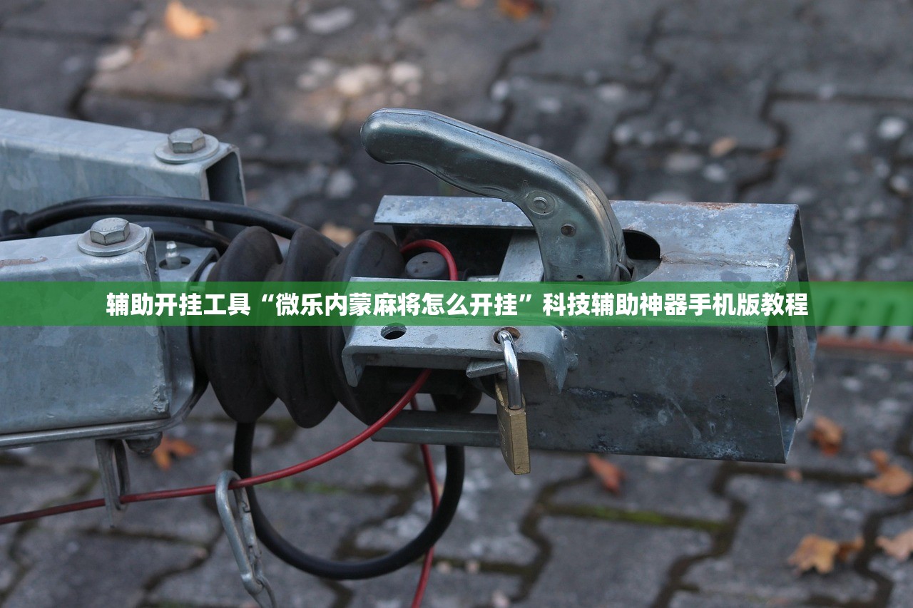辅助开挂工具“微乐内蒙麻将怎么开挂”科技辅助神器手机版教程