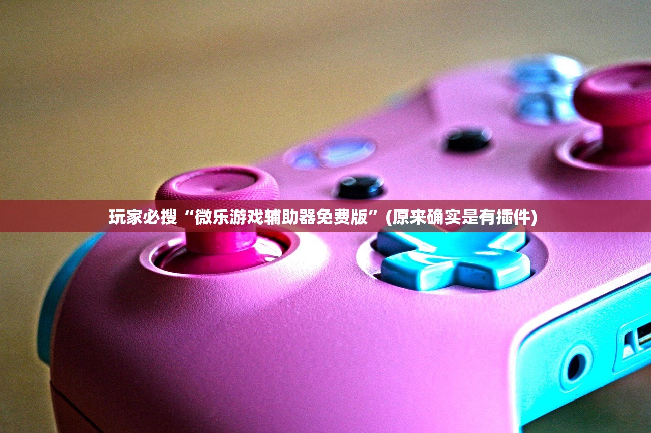 玩家必搜“微乐游戏辅助器免费版”(原来确实是有插件) 