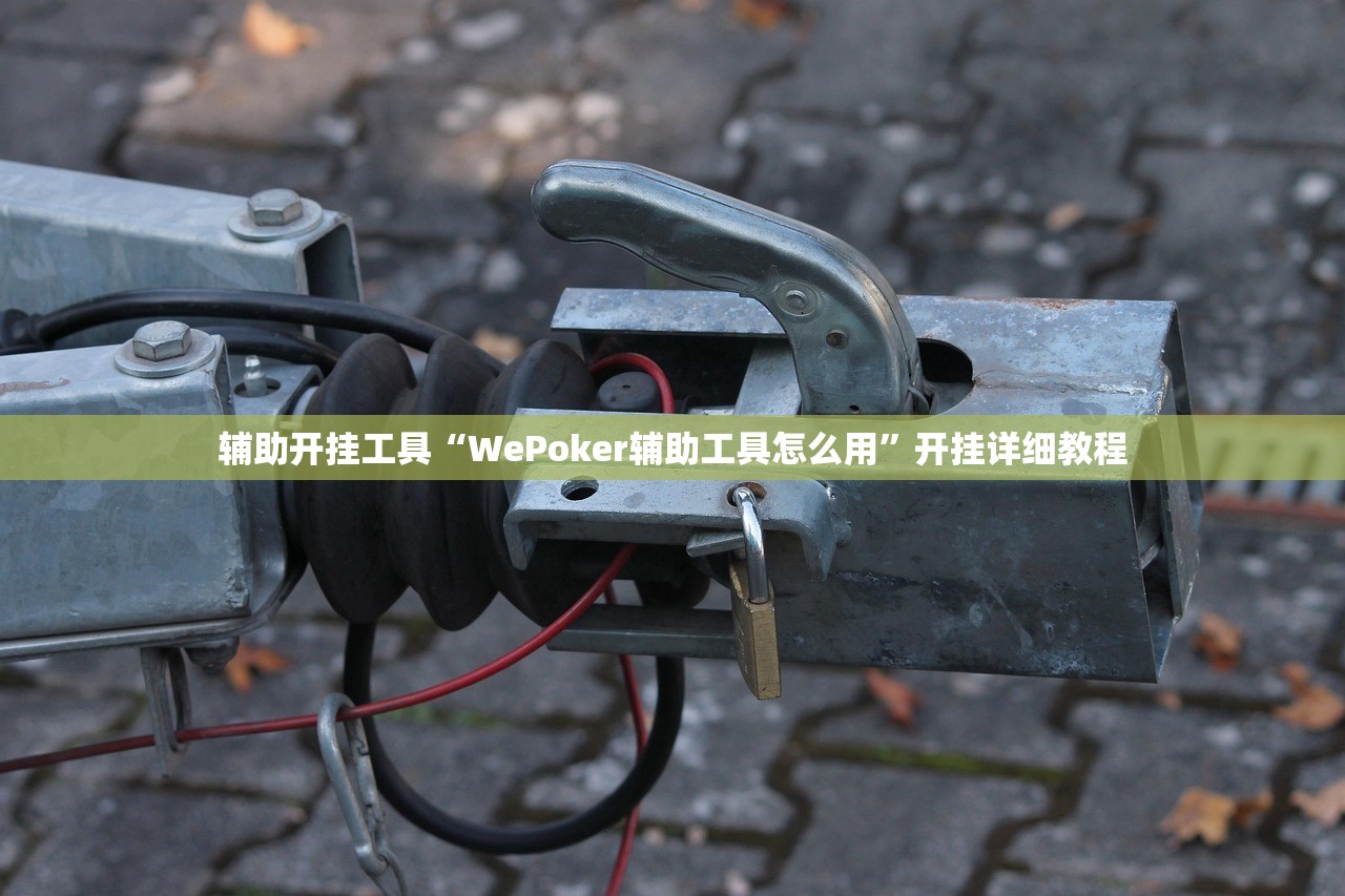 辅助开挂工具“WePoker辅助工具怎么用	”开挂详细教程