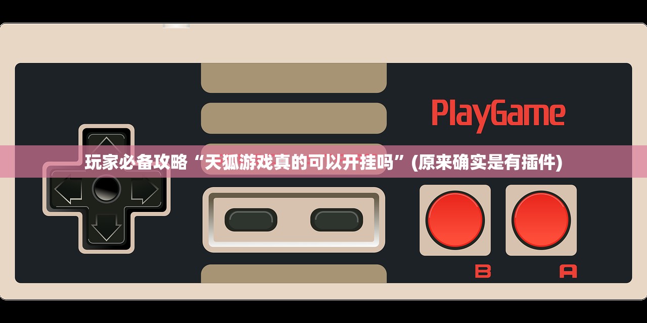 玩家必备攻略“天狐游戏真的可以开挂吗”(原来确实是有插件)