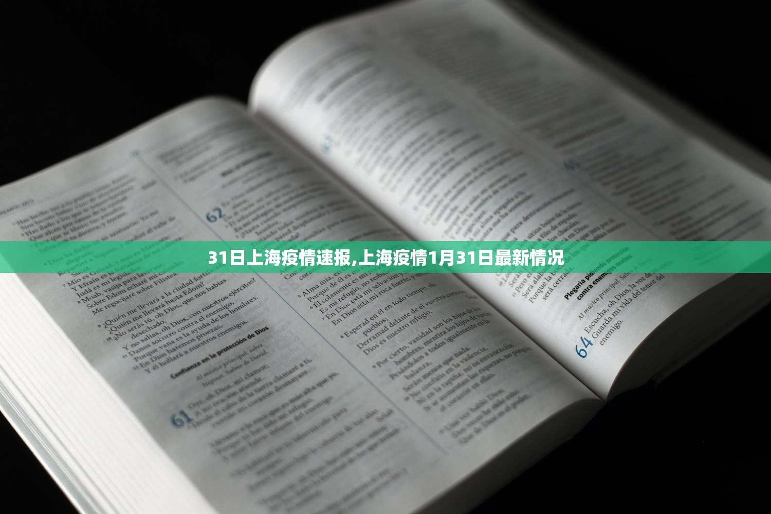 31日上海疫情速报,上海疫情1月31日最新情况