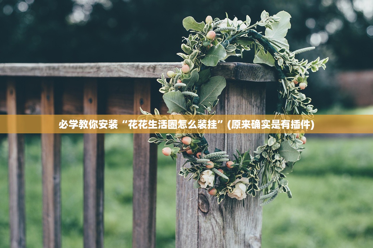 必学教你安装“花花生活圈怎么装挂	”(原来确实是有插件)