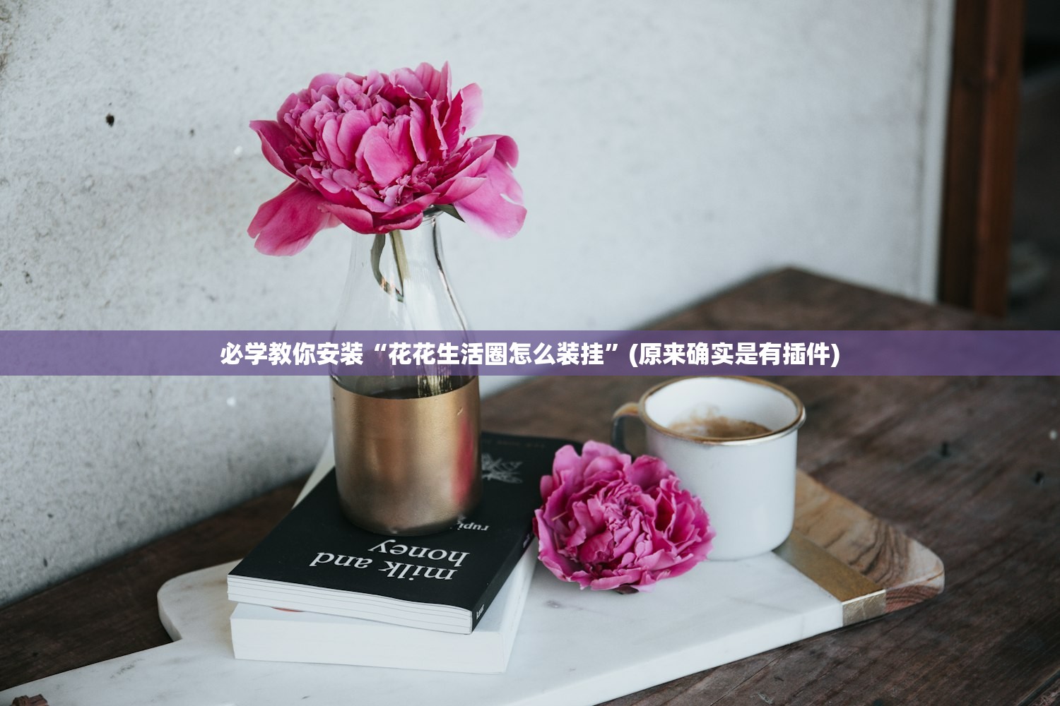 必学教你安装“花花生活圈怎么装挂	”(原来确实是有插件)