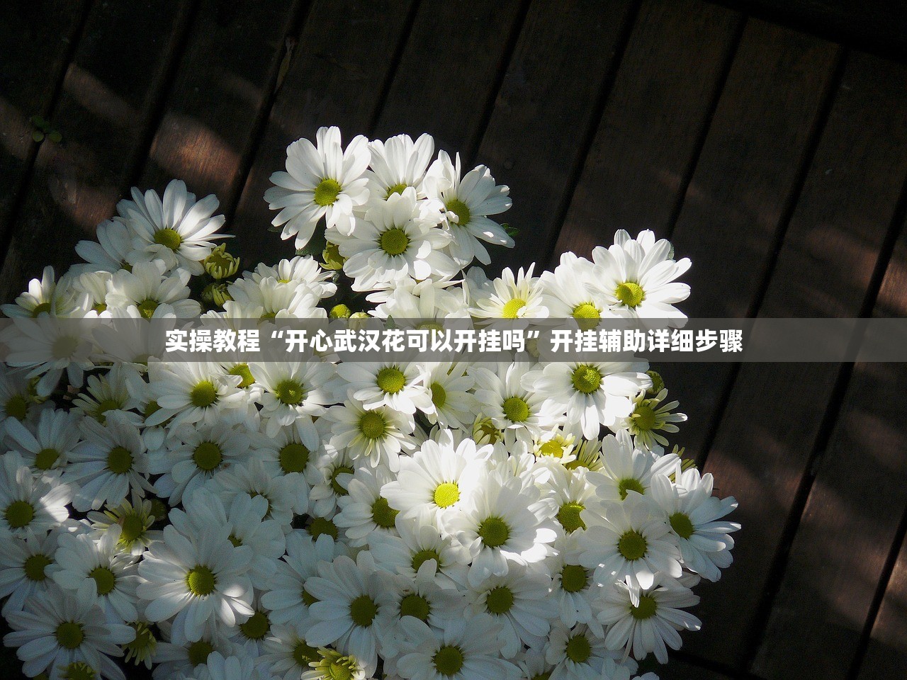 实操教程“开心武汉花可以开挂吗”开挂辅助详细步骤