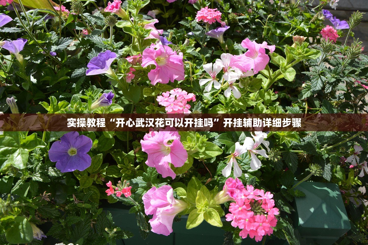 实操教程“开心武汉花可以开挂吗”开挂辅助详细步骤