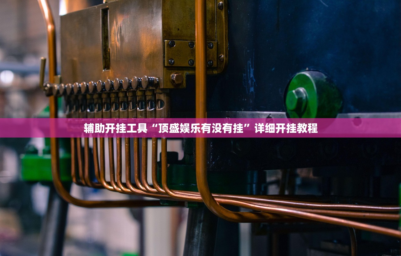 辅助开挂工具“顶盛娱乐有没有挂	”详细开挂教程