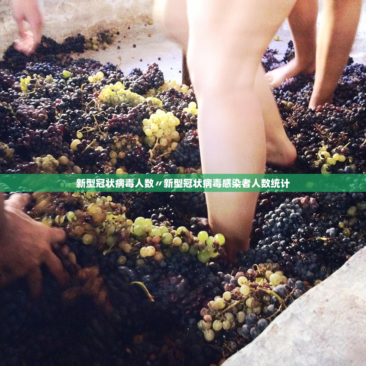 新型冠状病毒人数〃新型冠状病毒感染者人数统计