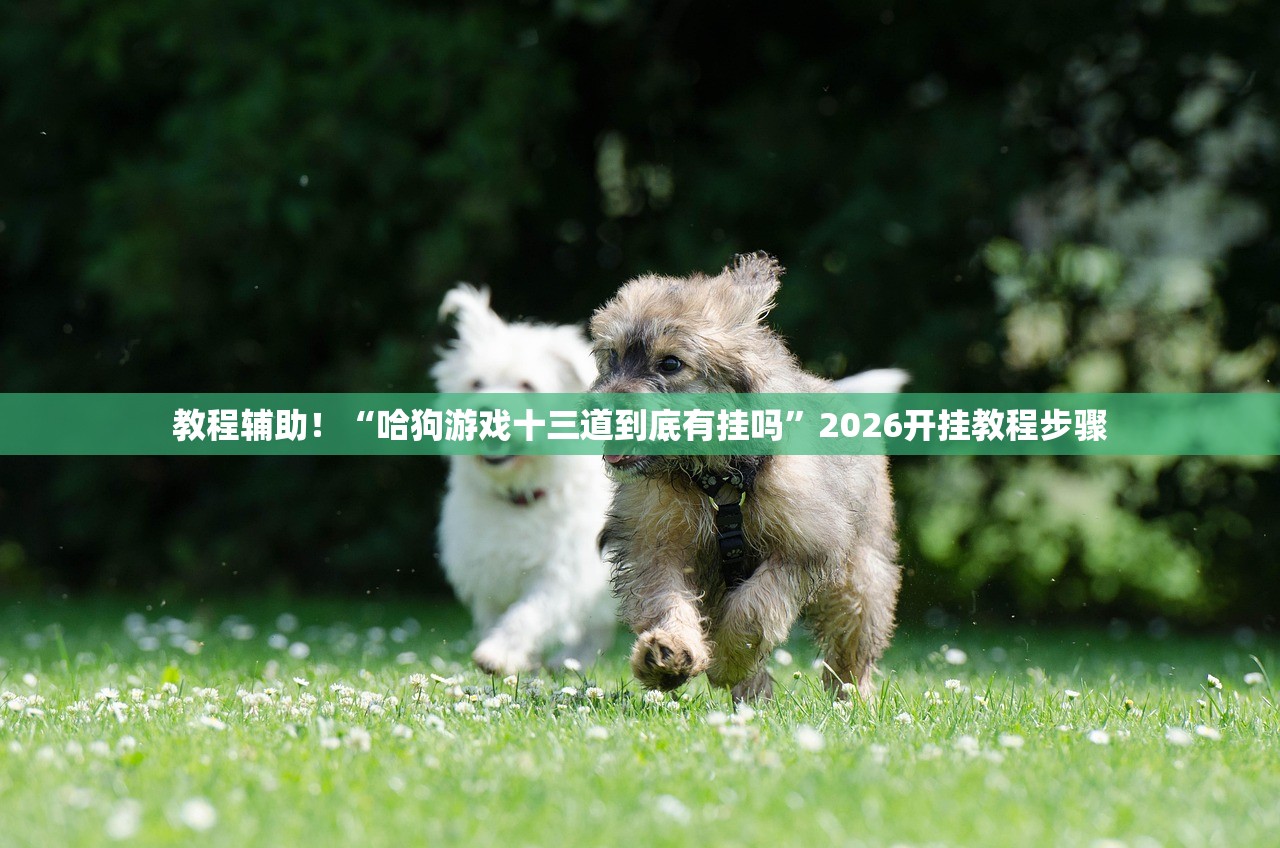 教程辅助！“哈狗游戏十三道到底有挂吗	”2026开挂教程步骤