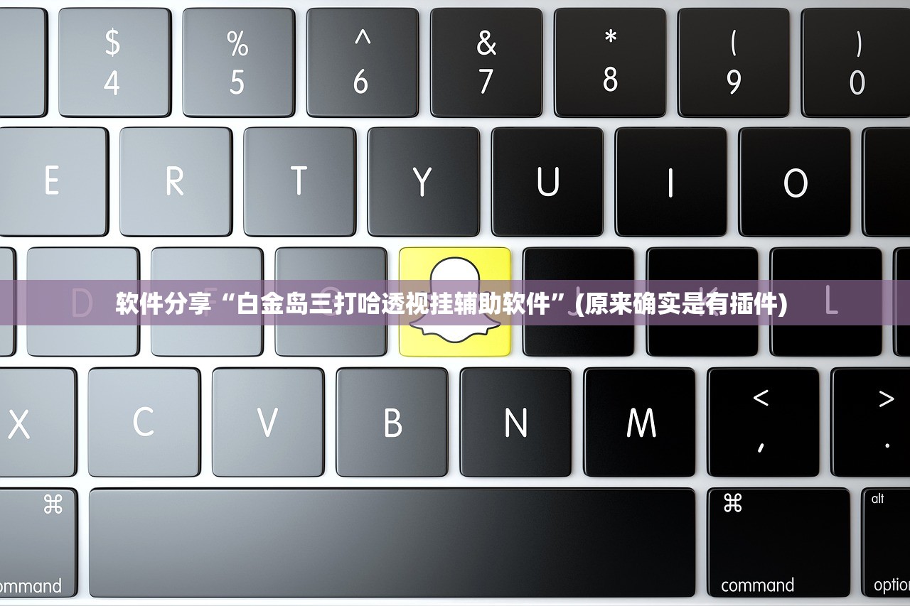 软件分享“白金岛三打哈透视挂辅助软件”(原来确实是有插件) 