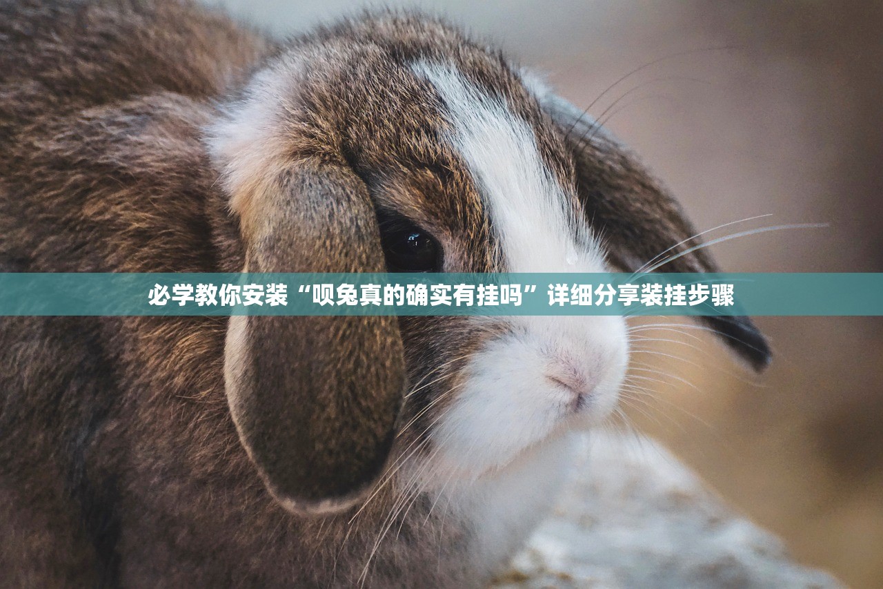 必学教你安装“呗兔真的确实有挂吗”详细分享装挂步骤