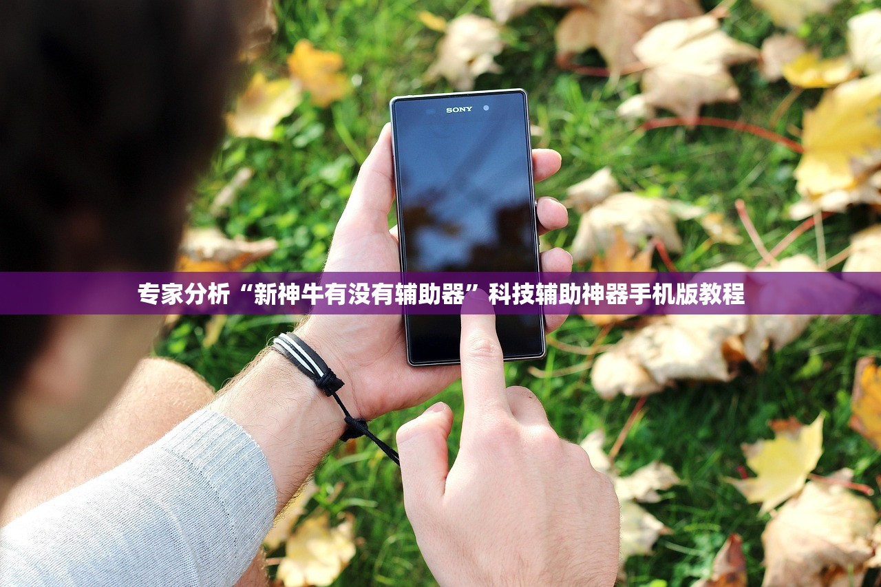 专家分析“新神牛有没有辅助器”科技辅助神器手机版教程
