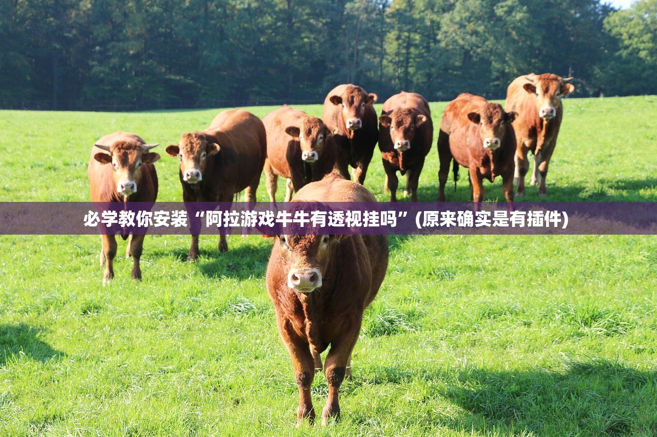 必学教你安装“阿拉游戏牛牛有透视挂吗”(原来确实是有插件) 