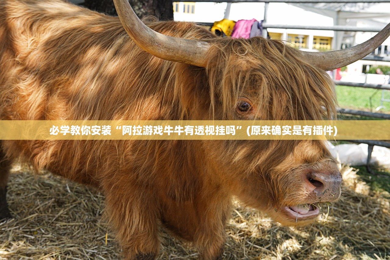 必学教你安装“阿拉游戏牛牛有透视挂吗”(原来确实是有插件) 