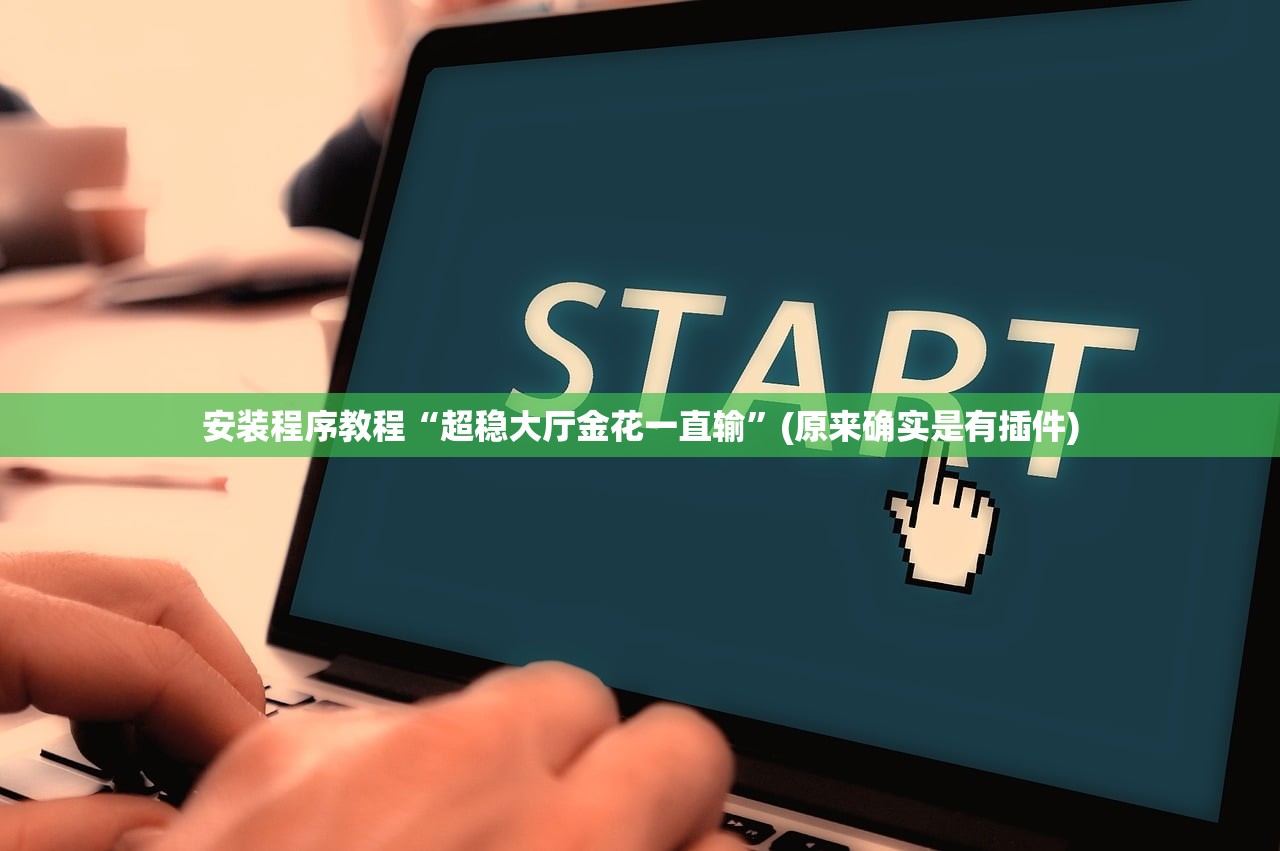 安装程序教程“超稳大厅金花一直输”(原来确实是有插件)