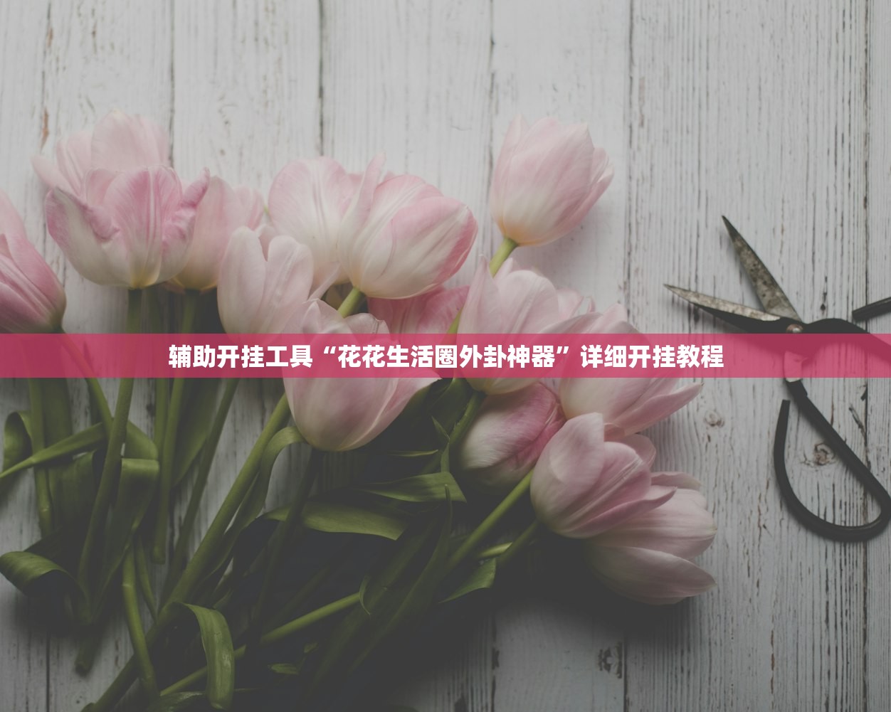 辅助开挂工具“花花生活圈外卦神器”详细开挂教程