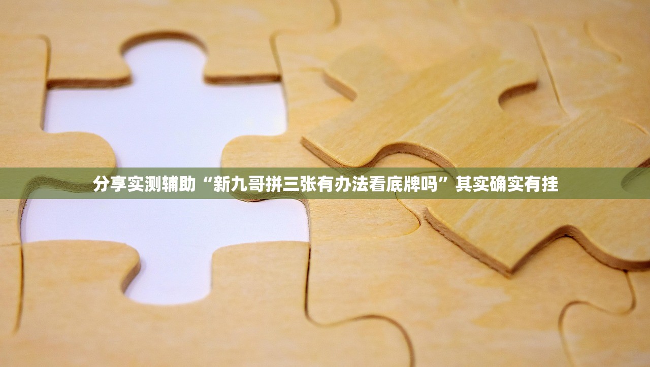 分享实测辅助“新九哥拼三张有办法看底牌吗”其实确实有挂