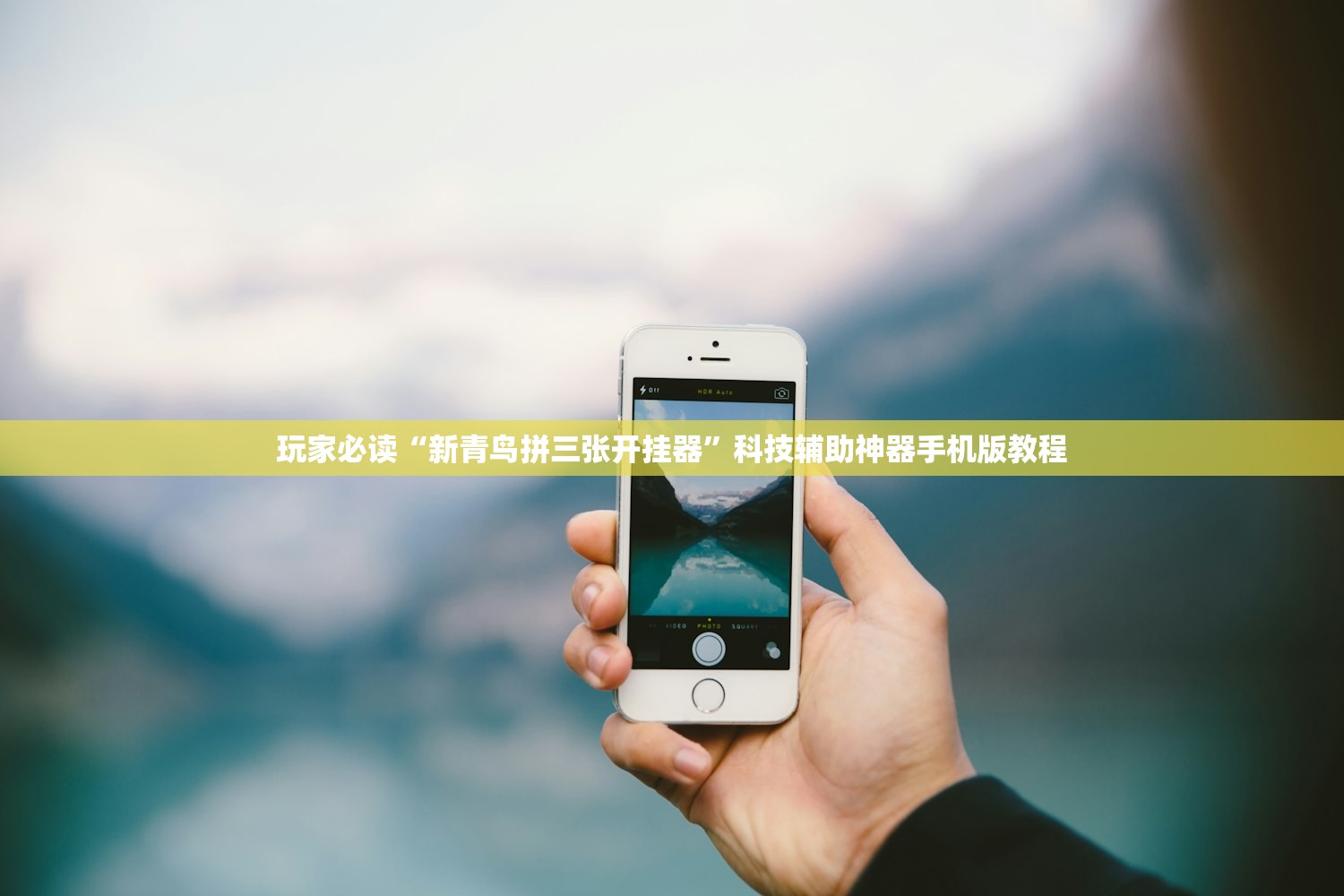 玩家必读“新青鸟拼三张开挂器”科技辅助神器手机版教程
